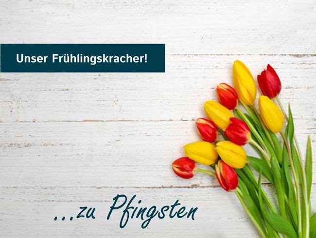 Good Morning+ Halle Leipzig Kabelsketal 시설 사진